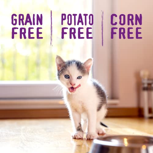 Stella & Chewy's Raw Coated Premium Kibble Cat & Kitten Food – Grain Free, Protein Rich Meals – Cage-Free Chicken for Kittens Recipe – 2.5 lb. Bag - image 7