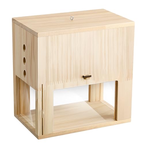 Qualirey 1 Pack Carpenter Bee Trap for Outside, 2 in