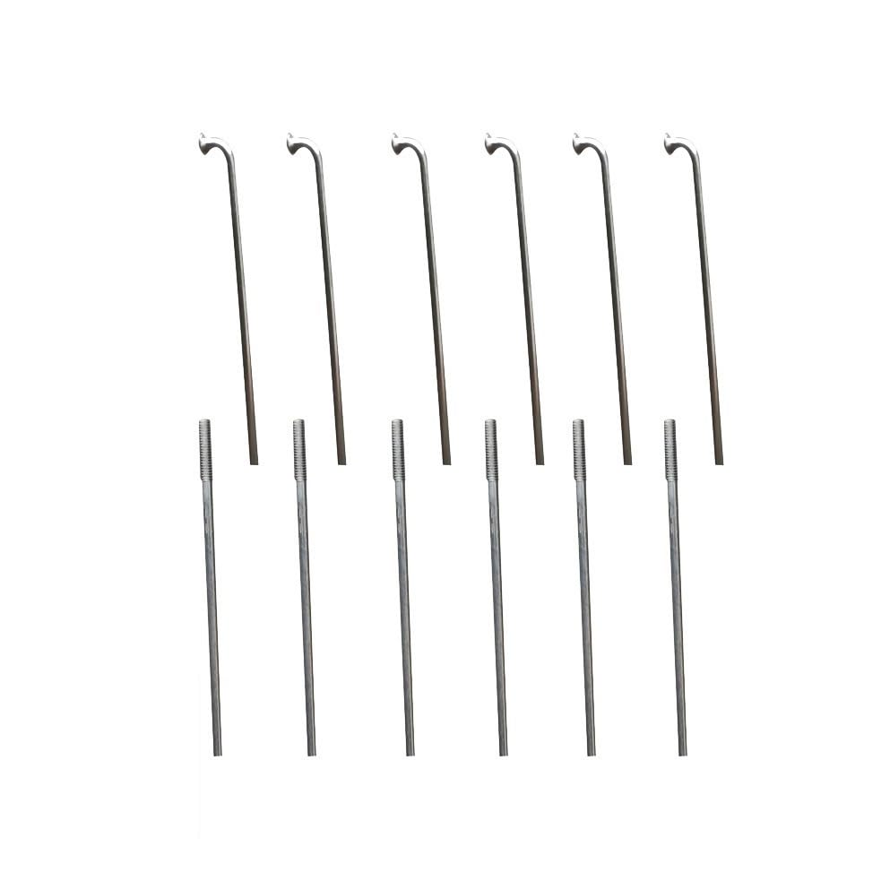 Rayons de vélo 1.8mm en acier inoxydable 304 argent 255mm avec écrous laiton x20
