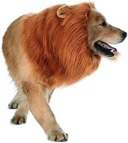 CI  RXv EBbO  蕨  Kt  Ă ^ ^ nEB RX`[ ߑ CIϐg Xq ybgpEBbO ҏb Aj} RXvLbv a NX}Xp[eB[  ʔ RXv