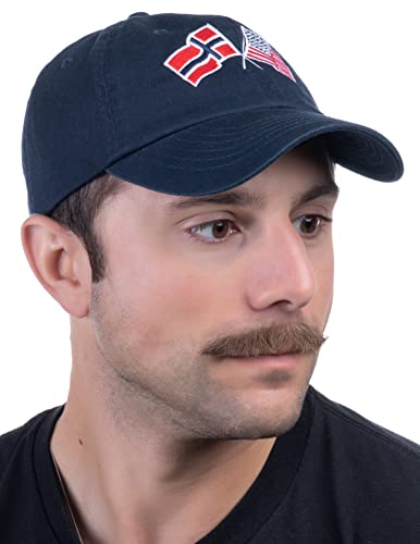 Image of Ann Arbor T-shirt Co. American Friendship Nations Flag Baseball Low Profile Dad Hat for Men Women