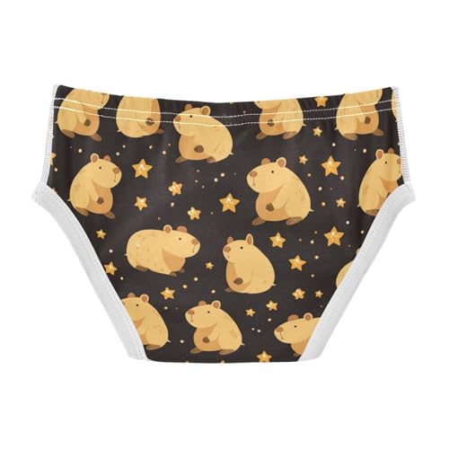Wusikd Cute Capybara Boys' Underwear Cotton Stars Boys Briefs Soft Toddler Underwear 2T2