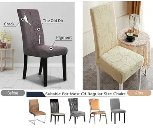 Image of BLACK SPADE Turkish Embossed Dinning Velvet Chair Cover Set of 6 || Stretch Removable Washable Short Dining Chair Cover Protector Seat Slipcover (Pack of 6) (Cream Leaves)