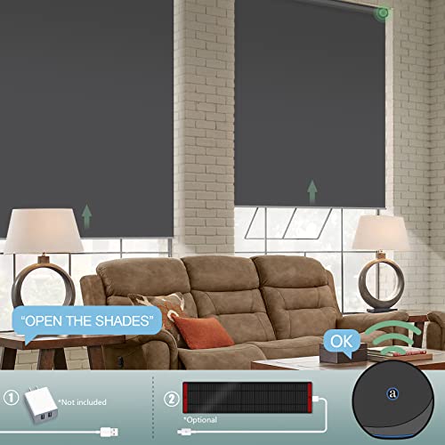 Yoolax Motorized Smart Blind For Window With Remote Control, Automatic Blackout Roller Shade Compatible With Alexa, Child Safety Rechargeable Battery Blind With Valance(Vinyl-Dark Grey) #TOP1