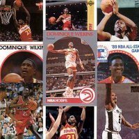10 Different Dominique Wilkins Basketball Cards In Display A.