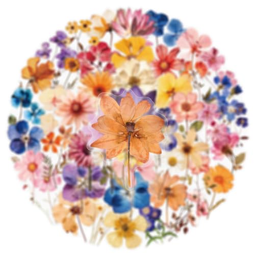 Image of 50PCS Transparent Flora Scrapbook Stickers, Vintage Aesthetic Flowers Sticker for Scrapbooks Travel Journal, Vinyl Waterproof for Water Bottles Laptop Phone Scrapbook Supplies DIY Crafts, (Flower-C)