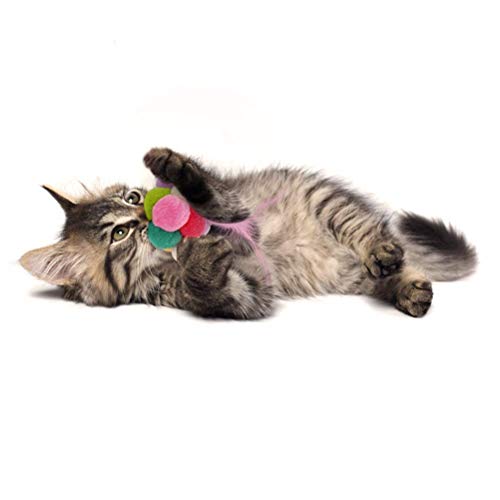 Jouet chat plume et herbe à chat pour moments de complicité - 6