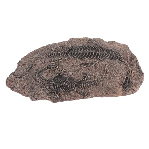 ULTECHNOVO Resin Dinosaur Skull Model Paleontology Adornment Table Ornament Educational Toy Home Decor