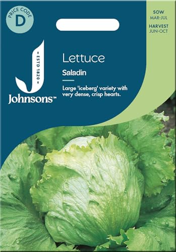 Johnsons Lettuce Seeds 'Saladin' - Iceberg Type
