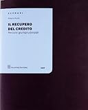  Recupero Credito