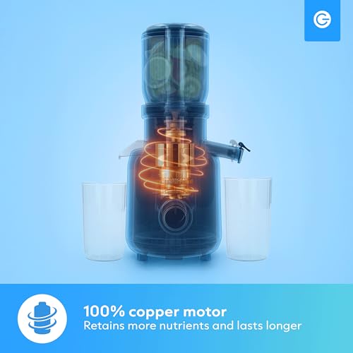 Silvergear® Licuadora | Extractor de Zumos y Verduras | Slowjuicer 250 W | Extractor 103 mm Apertura | Slowjuicer Potente Motor a 60 rpm | 2x Envases de 450 ml | Negro - imagen 6