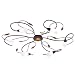 Produktbild EGLO GERBERA 1 Deckenleuchte, Stahl, G9, 198 W, antik-braun, gold