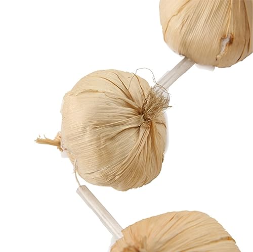 Garlic Garland on Necklace for Vampire Slayer Fancy Dress Costume2