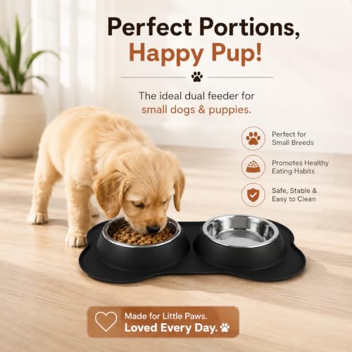 Image of Dog Bone Shaped Stainless Steel Pet Bowl Combo with Non-Slip Silicone Base | Double Feeding Bowl for Food and Water for Dogs, Puppies & Cats (700ml Bowl Each)