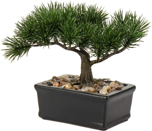 Villa Como tFCNO[ ~ ~j CeAO[ lH ϗtA  A̎ ͂Ȃ  e[ufR[V  ̓Mtg (16CM, )