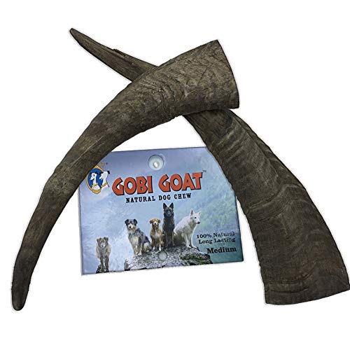 Find the Best Goat Horns for Your Dog A Buyer’s Guide