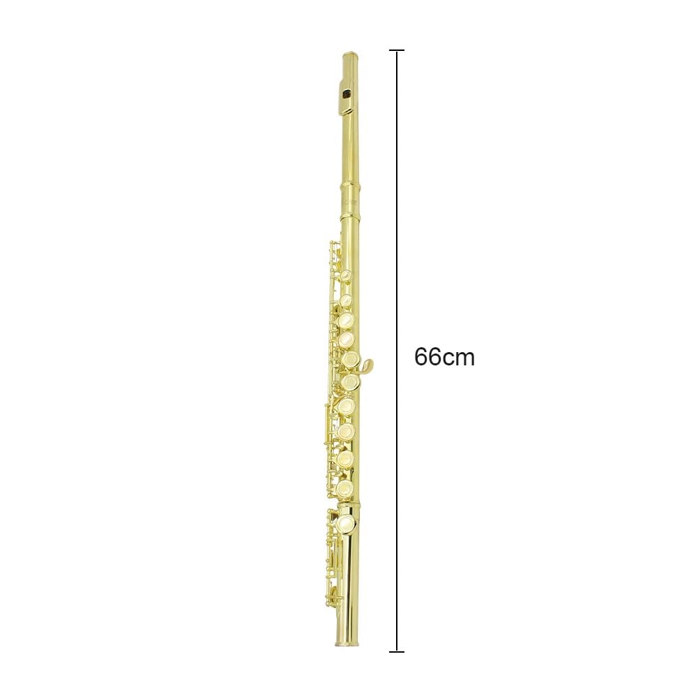 Flûte à clé C à 16 trous, flûte de Concert plaquée argent avec clé E, Instrument à vent avec boîte, chiffon de nettoyage, gants de bâton