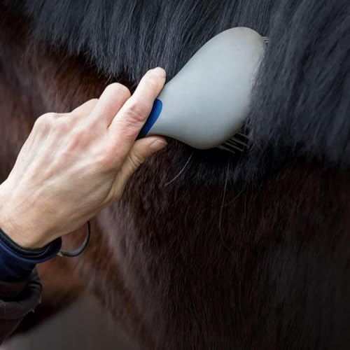 Mähnen Bürste Schweifbürste, 23cm Pferdeschweifbürste, Professionelle Mähnen Schweifbürste mit humanisiertem Griff, Haustier Massagebürste, rutschfeste Pferdehaarbürste, zum Pflegen Haar Random color