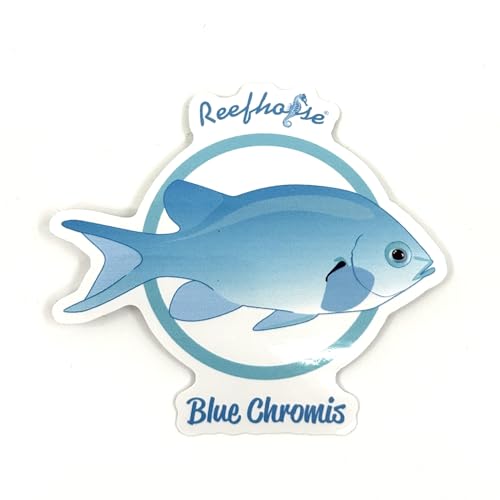 REEFHORSE Decal Fish Sticker for Blue Chromis - 3.5 Inch, Vinyl, Glossy, Waterproof, Non-Tearable...