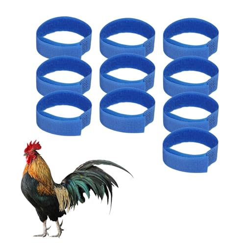 Agatige 10 Collier de Coq Réglable pour Poules, Anti-Crochets et Anti-Bruit, Bleu