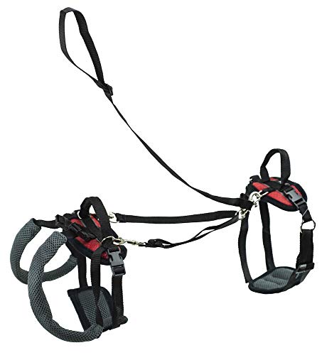 Petsafe Carelift Support Harness - Full Body Dog Lift Harness With Handle & Shoulder Sling - Great For Elderly Dogs, Hip Dysplasia, Acl Surgery - Designed To Help Them Up - Adjustable - Small #TOP2