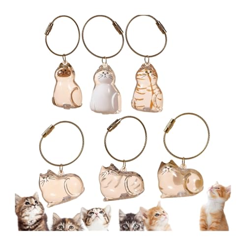 6Pcs Fur-Ever Loved Cat Hair Memorial Pendant, Cat Fur Keepsake Capsule…