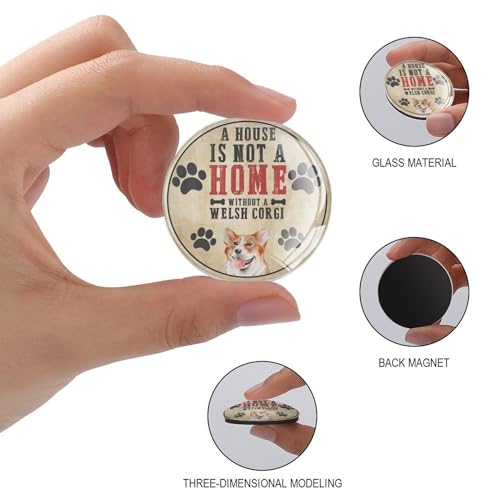 Imanes redondos Corgi de cristal el regalo ideal para pizarras 3