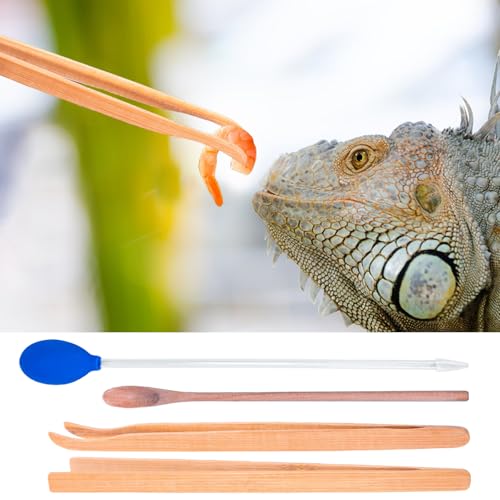 Alimentando pinças para répteis e répteis pinças, Clanets de alimentação de cobras, Acessórios de te