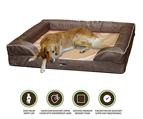 dog beds for pitbulls
