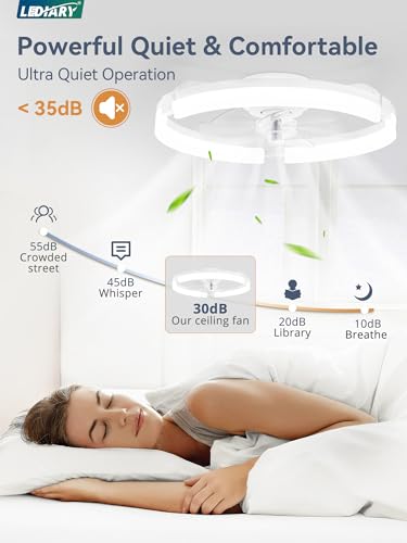 Image of LEDIARY 2 Pack 20 inch Ceiling Fans with Lights and Remote, Low Profile Ceiling Fan, 3 CCT, Stepless Dimmable, Fandelier Flush Mount Fan Light, 6 Speeds, DC Motor, App & Remote Control for Bedroom(White)