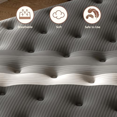 Queenmattresslechepus14inchsoftmemoryfoamhybridmattressinboxplushfeelqueensizemattresswithsupportivepocketcoilforbackpainreliefmotionisolationnoneoffiberglass Urban Country Home Decor Queen mattresslechepus 14inch soft memory foam hybrid mattress in boxplush feel queen size mattress with supportive pocket coil for back pain reliefmotion isolation none of fiberglass urban country home decor