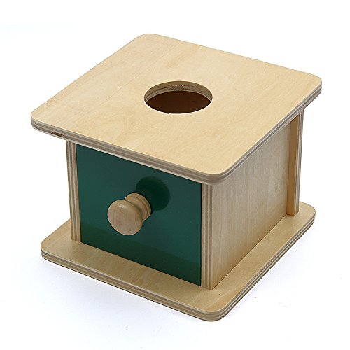 DANNI Montessori Kids Sensory Toy Baby Wood Ball Matching Box Hand-Eye Coordination Learning Educational Preschool Training Toys