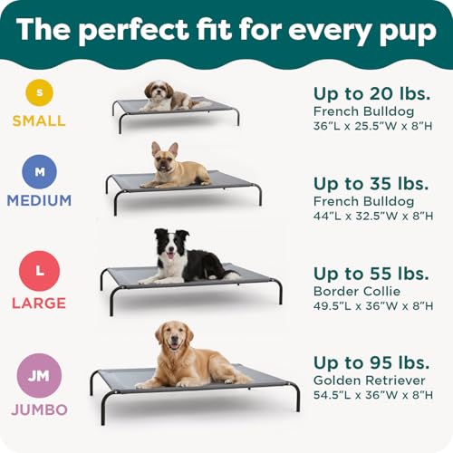 Image of FurHaven Elevated Dog Bed, Cooling Raised Pet Cot with Breathable Mesh, Durable Steel Frame, Indoor /Outdoor Use, Easy Assembly, Jumbo XL, Nylon Mesh with Steel Frame, Graphite Gray