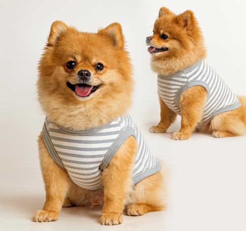 2 Stück Hunde-Shirts für Kleine Hunde Sommer Weiche Baumwolle T-Shirt,Hund Soft Tank Top Ärmellose Weste Hund T-Shirt für kleine mittelgroße Hundekatze Kleidung（schwarz, grau） L