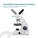 ESSLNB 1000X Microscope 40X-1000X Biological Compound Microscopes with Cell Phone Adapter Double Layer Stage Abbe Condenser and Slides