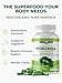 PURA VIDA MORINGA Organic Moringa Capsules Single Origin Moringa Powder Organic. Pure Moringa Leaf. Energy, Metabolism, & Immune Support. 120ct. 500mg Caps (Pack of 2)