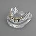 Dental Teeth Model Precision 4 Implant Overdenture Inferior Tooth Golden Color