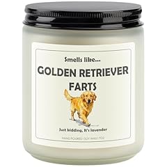 GOLDEN RETRIEVER FARTS