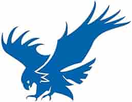 ◡̈*✧Eagle eagle-head-vector-isolated-