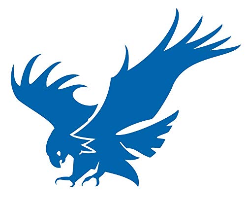 ◡̈*✧Eagle Amazon.com - Eagle Y0241 Vinyl Sticker Decals (Pack of 2