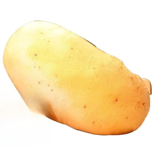 ZLBYXLUʂ݁AA͑t[cNbVAӂӂ̂QAXg̑AʔHiANGCeBuȂʂ݁Aav[gANX}X̒av[g (C) [sAi]