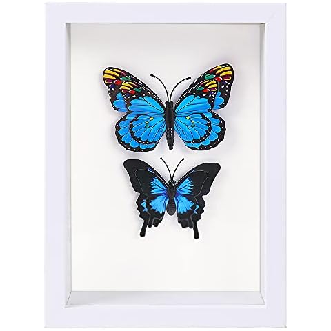 BESIDOTREE 4x6 Memory Shadow Box Frame Cover