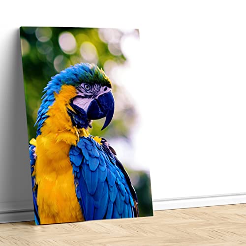 Ara bleu perroquet tableau Coco pour raviver un mur blanc