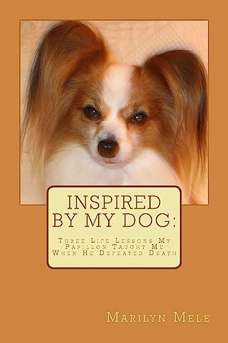 Inspired By My Dog: Three Life Lessons My Papillon Taught Me When He Defeated Death
