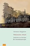 Wakamatsu Jōtarō: Gedichte im Zeichen der Atomkatastrophe (Reihe zur japanischen Literatur und Kultur - Japanologie Frankfurt)