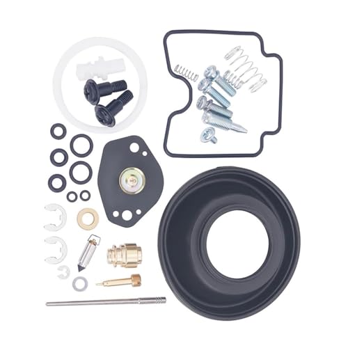 Kit réparation carburateur DRZ400SM réfection joint pointeau moto DRZ 400 S