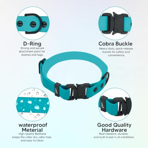 Image of Adil's Biothane Waterproof Dog Collar, Dog Leash & Collar Leash Combo | Heavy Duty TPU Coated Webbing | Adjustable Quick Release Buckle | Odour Resistant (Light Sky, M-18, Collar only)