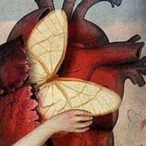 Critical Theory, Wokeism and the move to "De-Steiner" Waldorf Education.