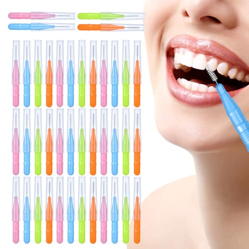 f^sbN | 40{ puV tXsbN ܂悤 - ^sbN |c[   Lv s  H PA