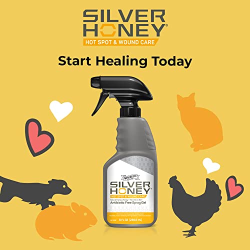 Absorbine Silver Honey Hot Spot & Wound Care Ointment, Manuka Honey & Microsilver Bg, Medicated Skin Care & Itch Relief For Dogs, Cats, Small Animals #TOP1